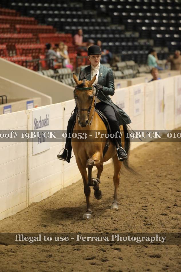 Proof 19BUCK_01053