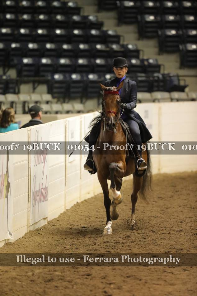 Proof 19BUCK_01054