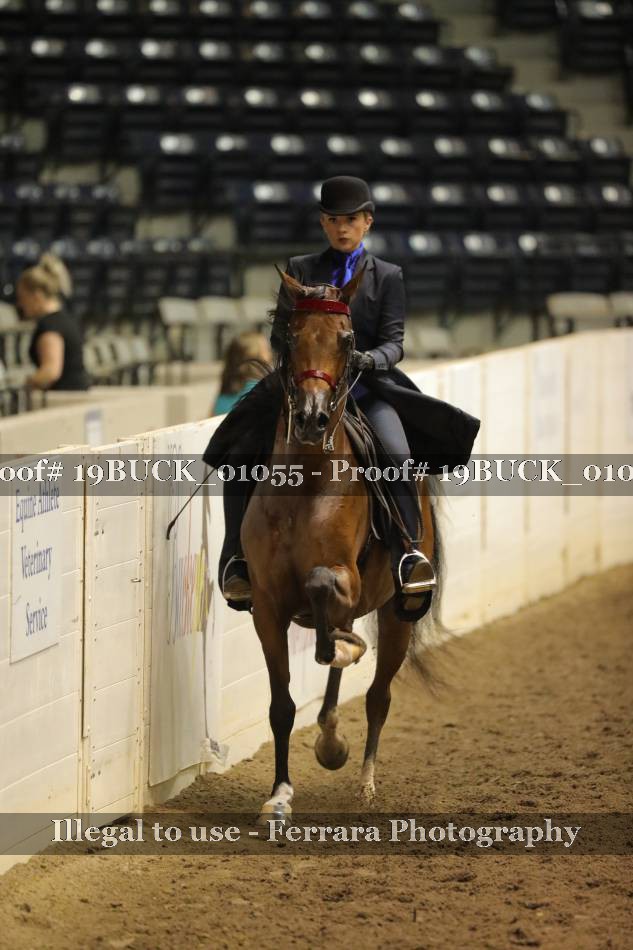 Proof 19BUCK_01055