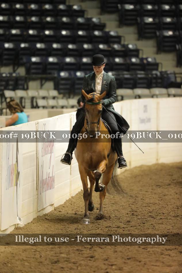 Proof 19BUCK_01056