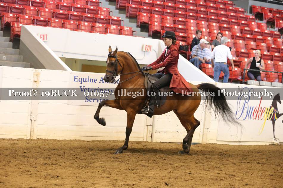 Proof 19BUCK_01057