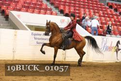 19BUCK_01057 proof