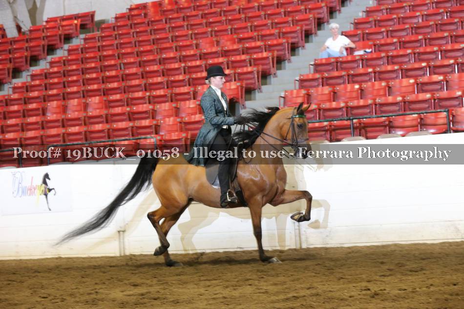 Proof 19BUCK_01058