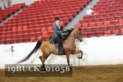 19BUCK_01058 proof