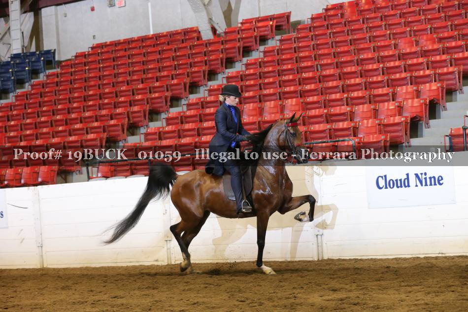 Proof 19BUCK_01059