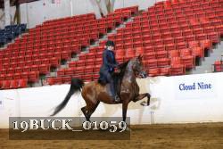19BUCK_01059 proof