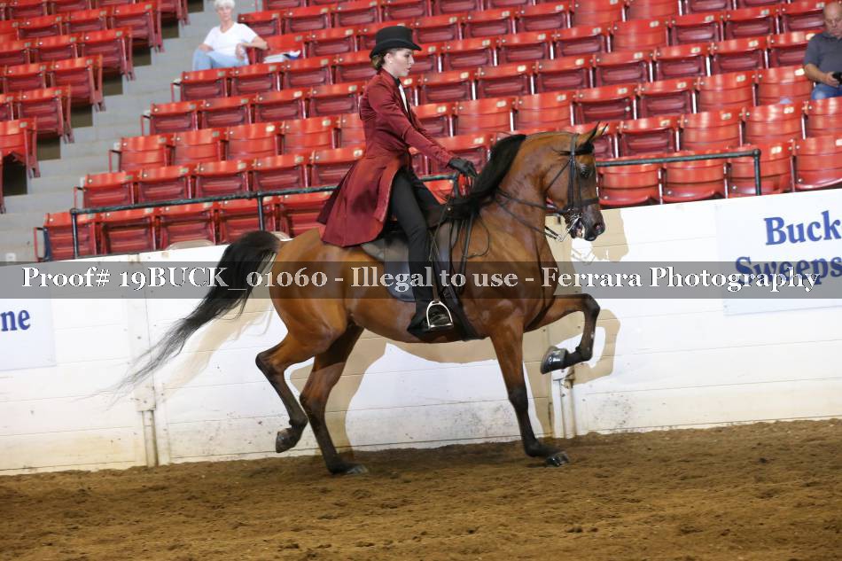Proof 19BUCK_01060