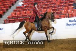 19BUCK_01060 proof