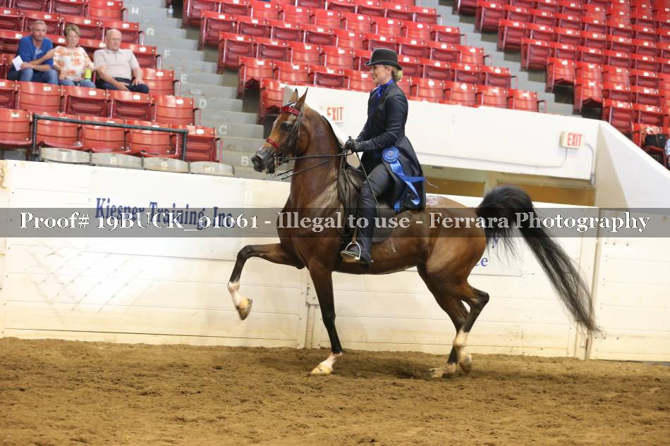 Proof 19BUCK_01061