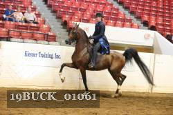 19BUCK_01061 proof