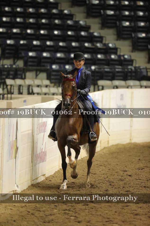 Proof 19BUCK_01062