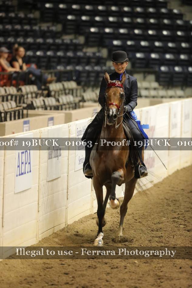 Proof 19BUCK_01063