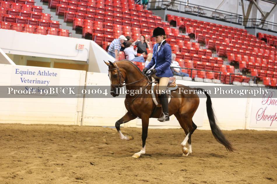 Proof 19BUCK_01064