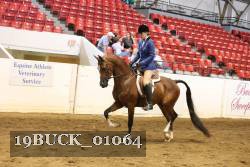 19BUCK_01064 proof