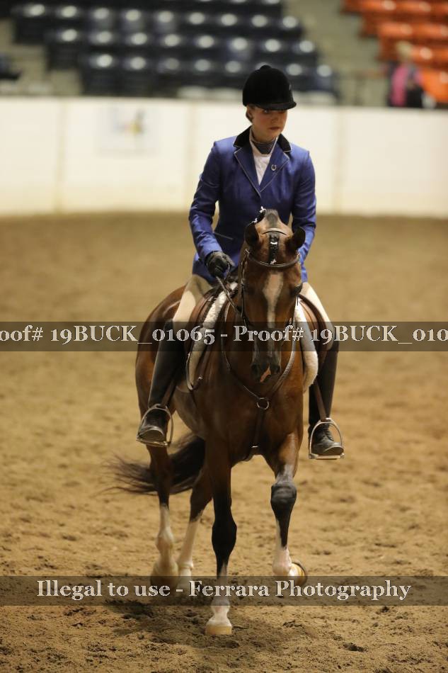 Proof 19BUCK_01065