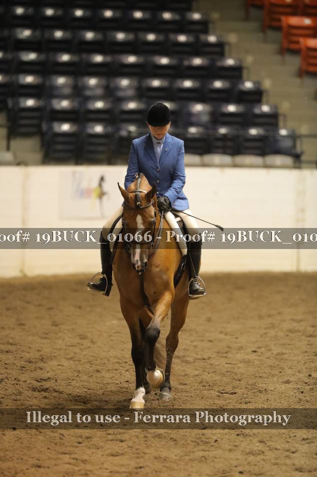 Proof 19BUCK_01066