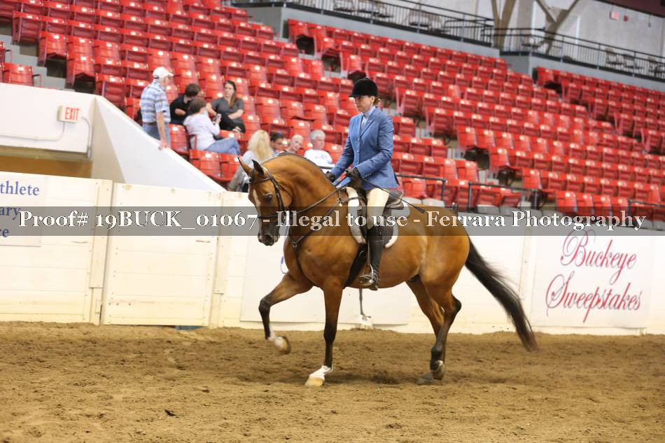 Proof 19BUCK_01067