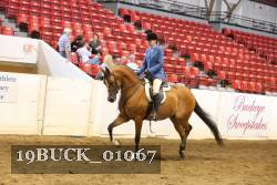 19BUCK_01067 proof