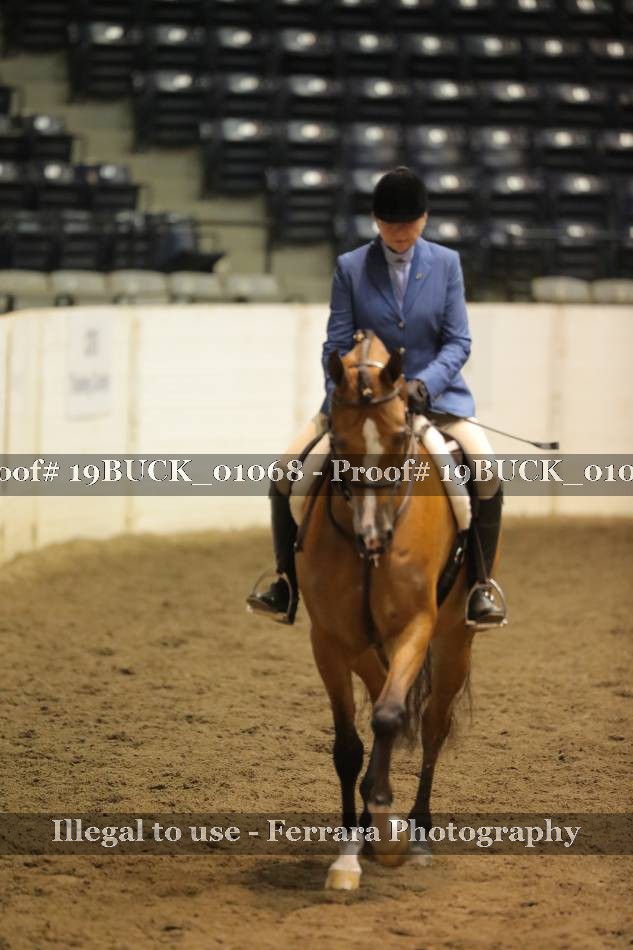 Proof 19BUCK_01068
