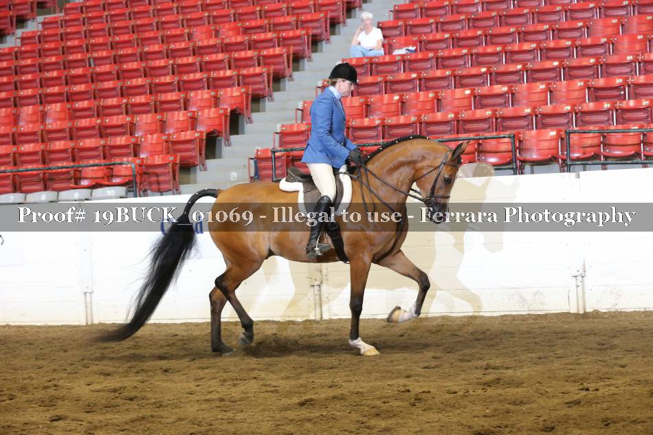 Proof 19BUCK_01069