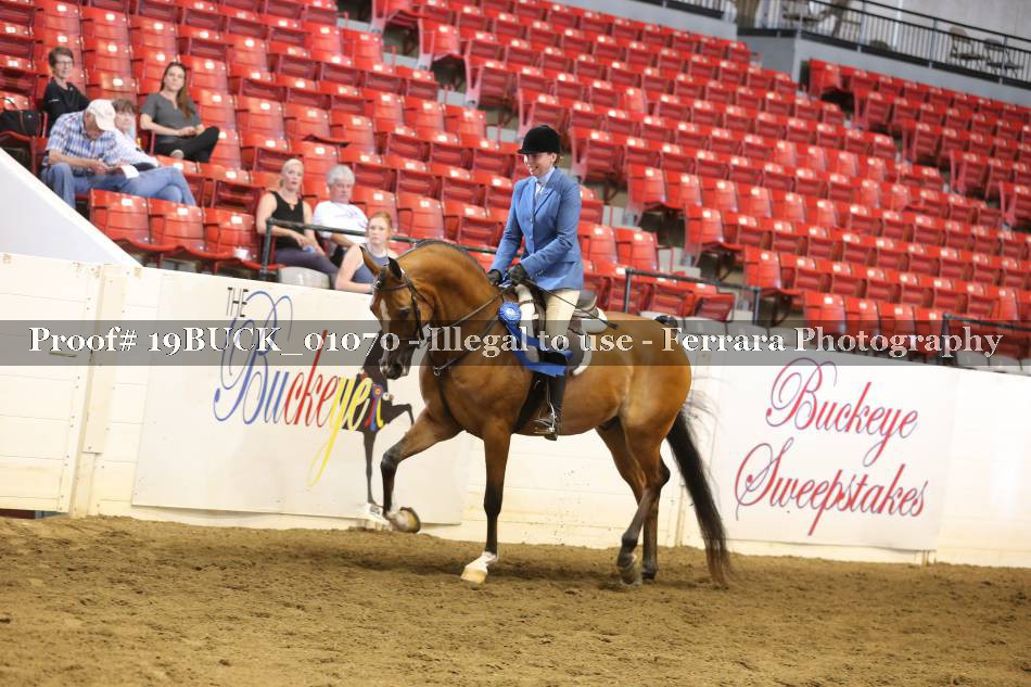Proof 19BUCK_01070