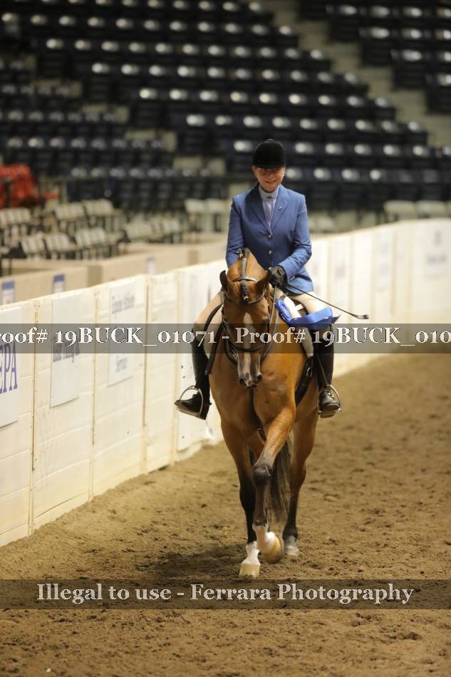 Proof 19BUCK_01071