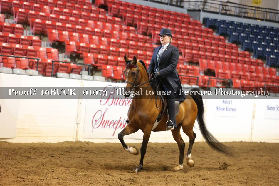 Proof 19BUCK_01073
