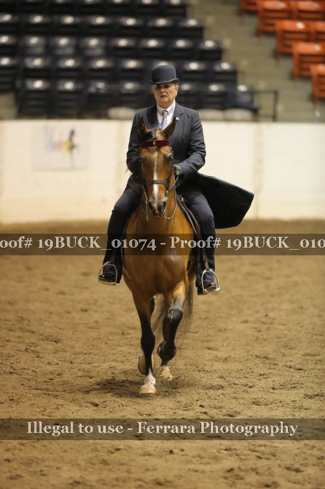 Proof 19BUCK_01074