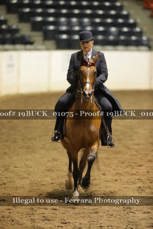 Proof 19BUCK_01075