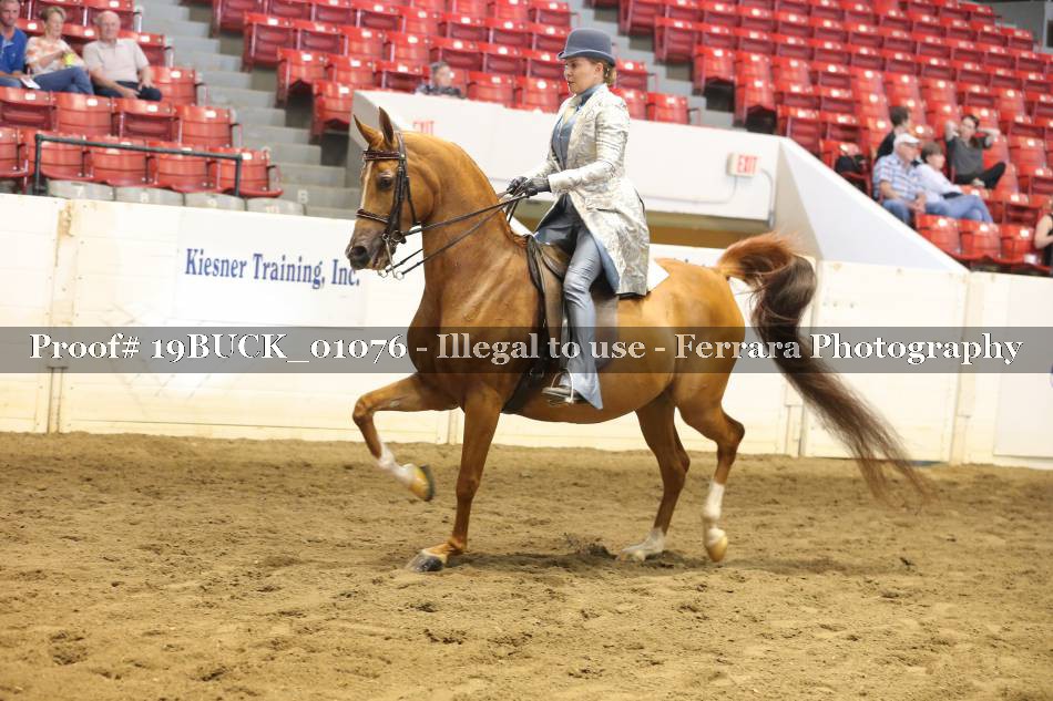 Proof 19BUCK_01076