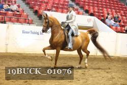 19BUCK_01076 proof