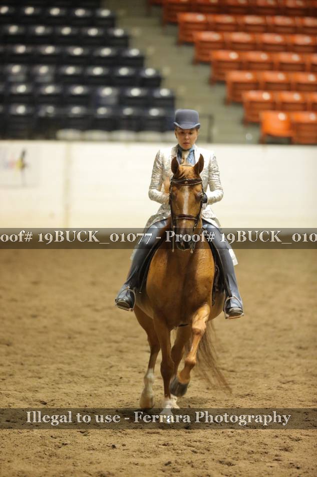 Proof 19BUCK_01077