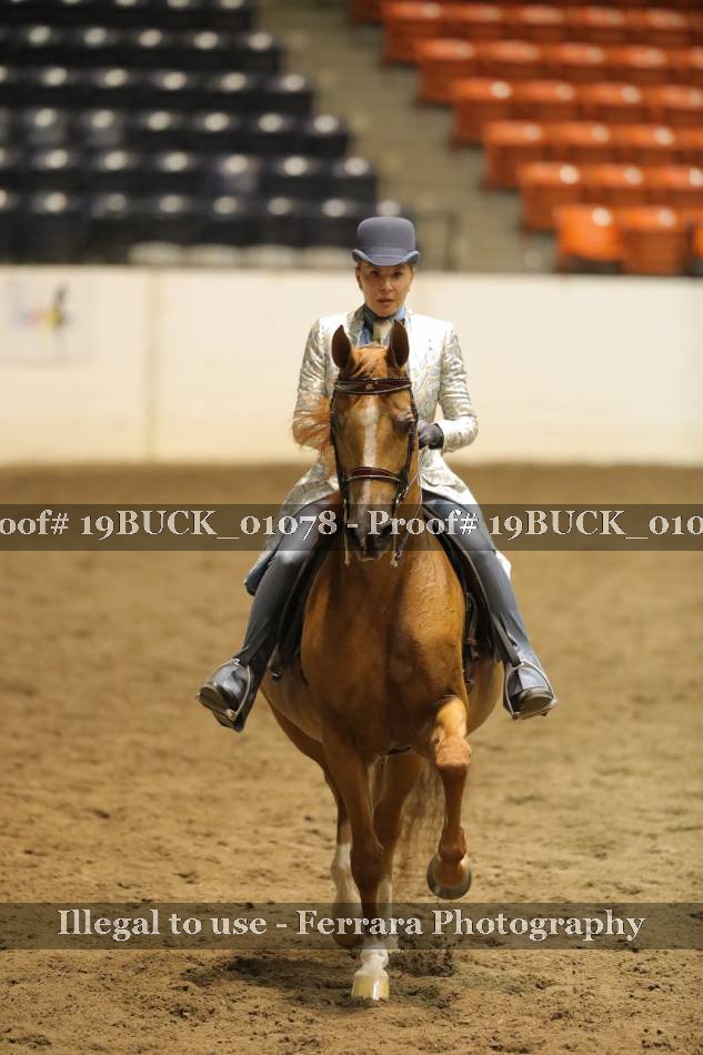Proof 19BUCK_01078