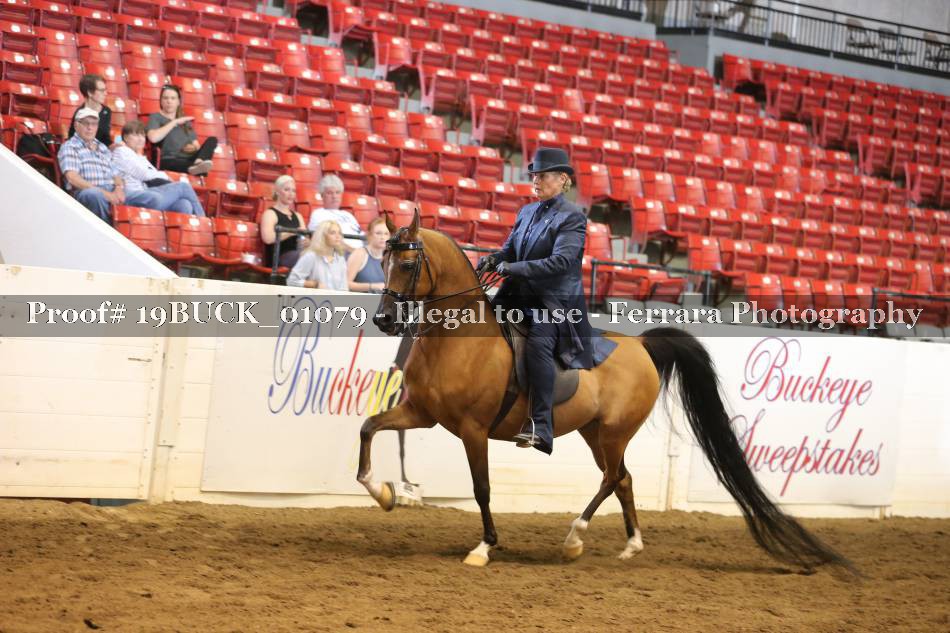 Proof 19BUCK_01079