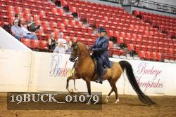 19BUCK_01079 proof