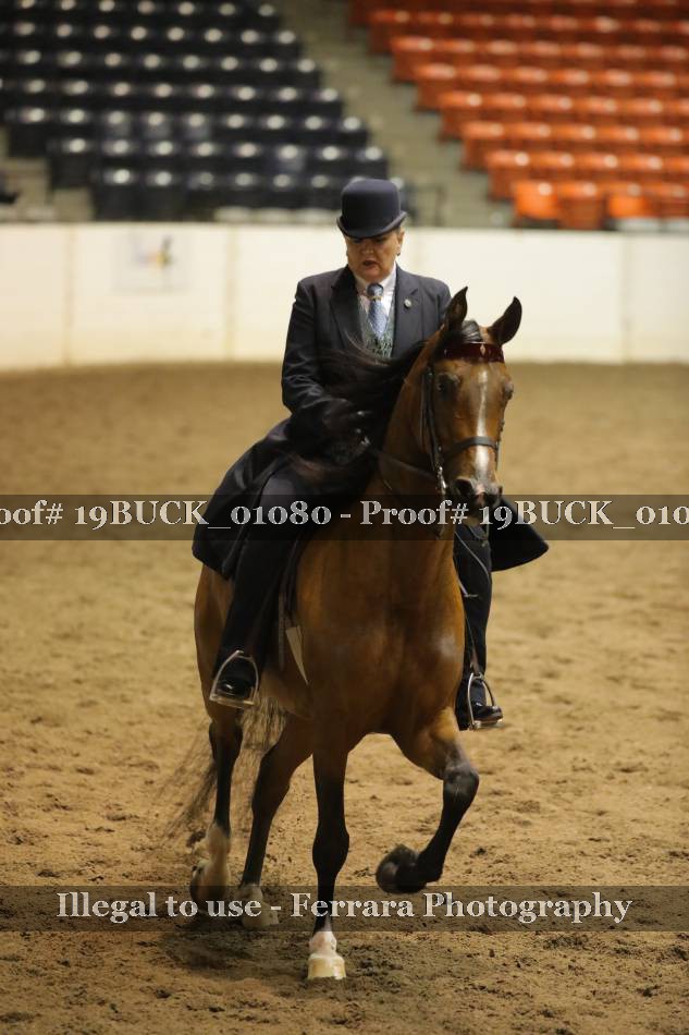 Proof 19BUCK_01080