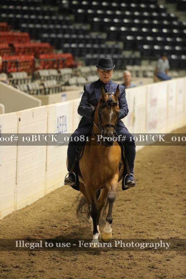 Proof 19BUCK_01081