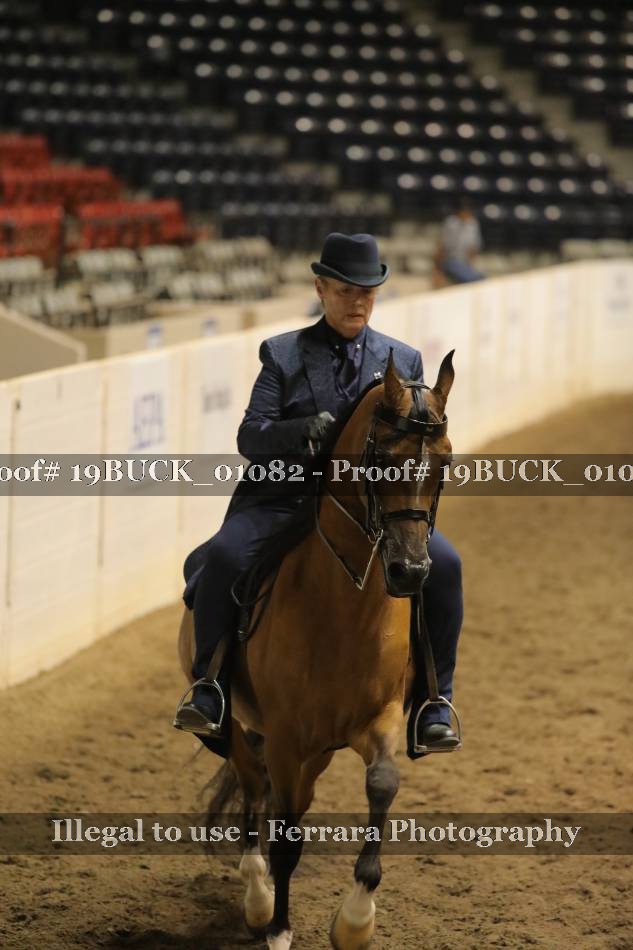 Proof 19BUCK_01082
