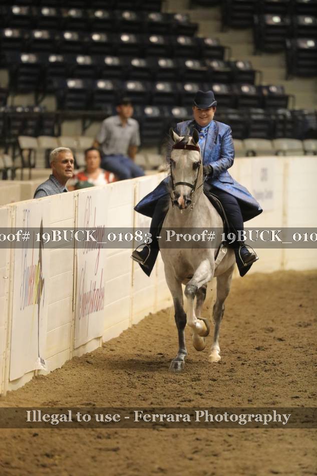 Proof 19BUCK_01083
