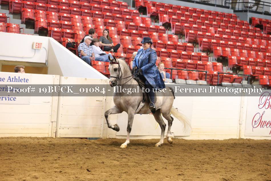 Proof 19BUCK_01084