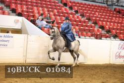 19BUCK_01084 proof