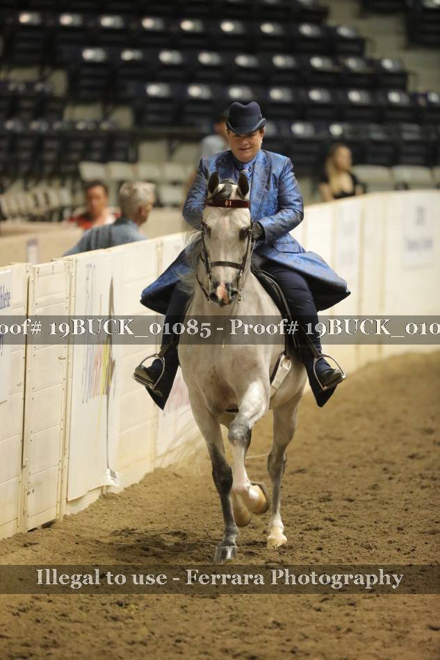 Proof 19BUCK_01085