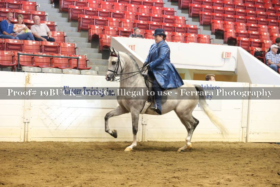 Proof 19BUCK_01086