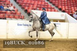 19BUCK_01086 proof