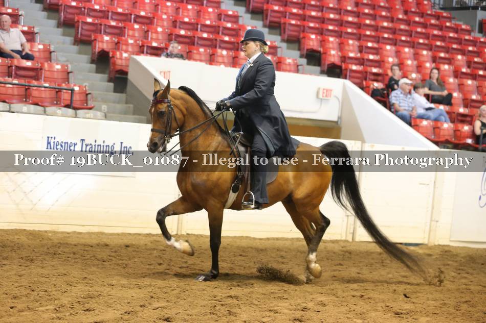 Proof 19BUCK_01087
