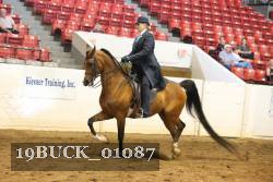 19BUCK_01087 proof