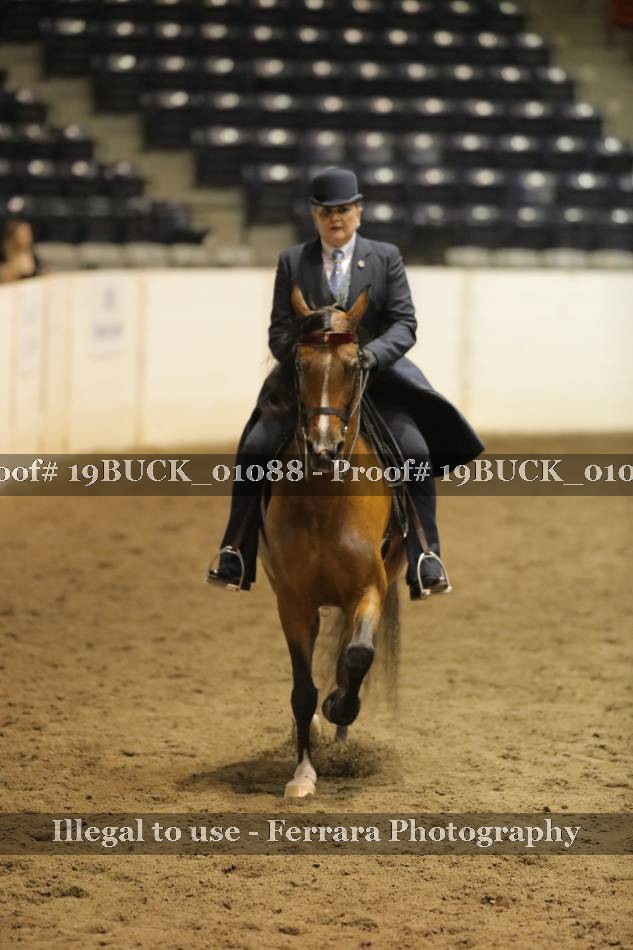 Proof 19BUCK_01088
