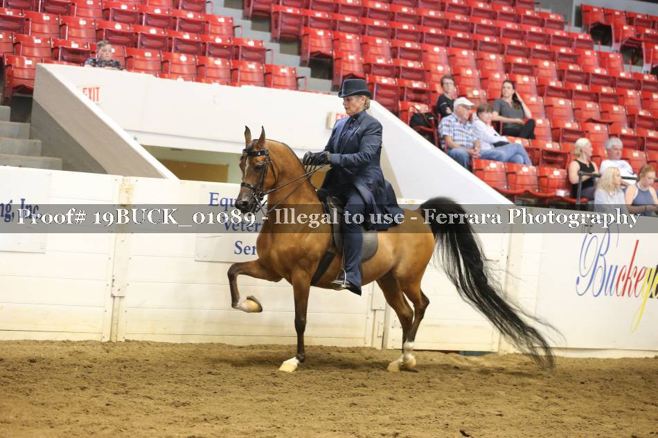 Proof 19BUCK_01089