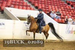 19BUCK_01089 proof