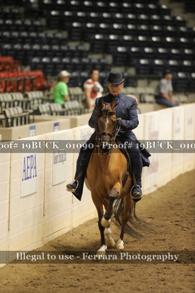 Proof 19BUCK_01090